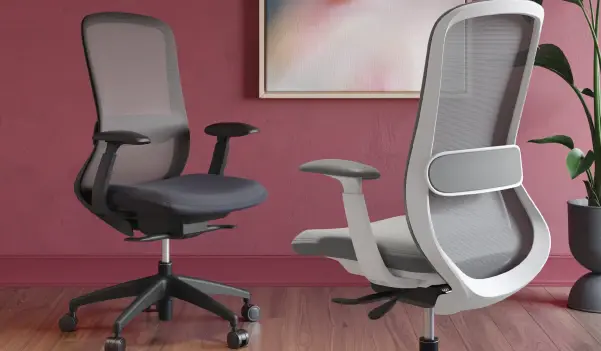 room scene of the front and back of an ergonomic chair