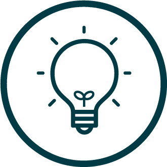 Light Bulb